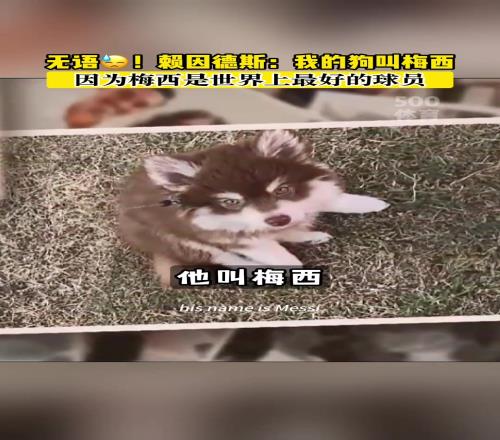 偶像!赖因德斯之前给狗取名“梅西”,因为他是世界最佳球员!