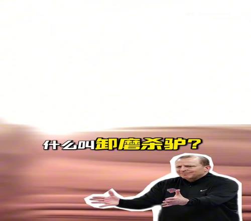 段冉：尼克斯解雇锡伯杜是卸磨杀驴！他把尼克斯带到不属于他们的高度