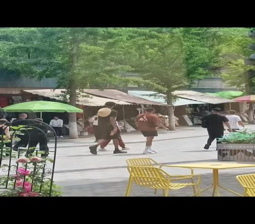 文班亚马中国行今天下午将现场观看女排北京站法国vs比利时!