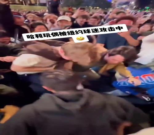 纽约不打无名之辈!尼克斯球迷曾经疯狂蹂躏哈利伯顿玩偶