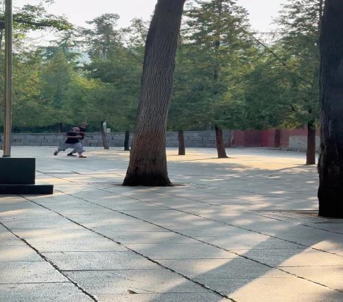 歲月靜好！文班儼然已經(jīng)融入少林寺