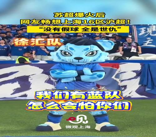 苏超联赛爆火后,网友畅想上海版“沪超”,“没有假球,全是世仇”