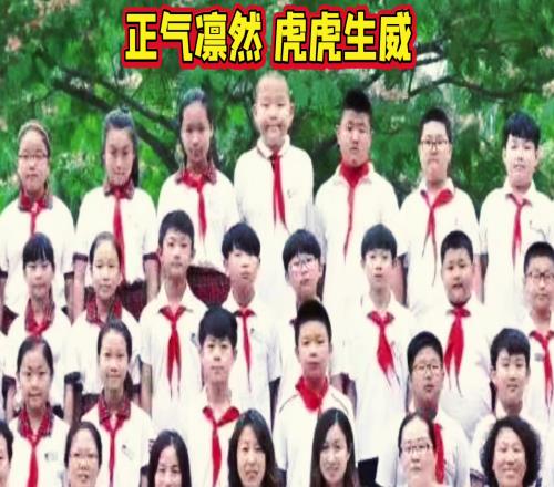 虎虎生威!杨瀚森小学毕业照被网友翻出稳居C位
