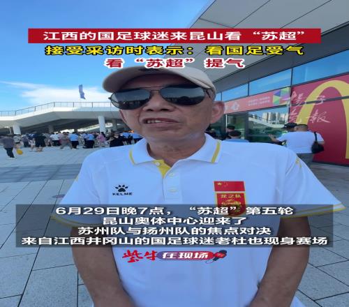 龍之隊老球迷：蘇超非常接地氣，我看國家隊比賽就是受氣