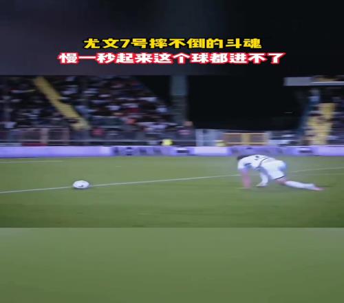 摔不倒的斗魂!网友:他但凡慢一秒起来,这个球都进不了!