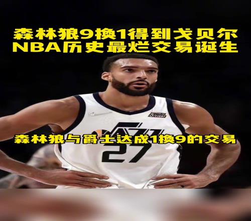 到底是亏是赚回顾森林狼9换1交易得到戈贝尔