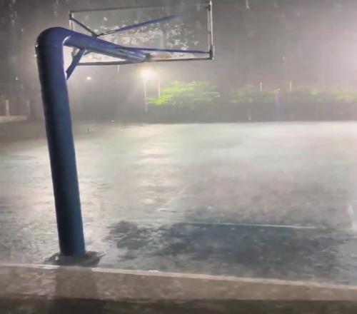 到底是哪个王八蛋发的誓,让我们这些单身狗淋雨