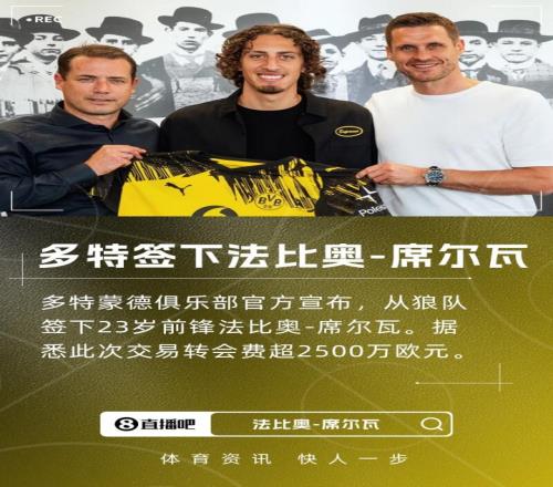 轉(zhuǎn)會費超2500萬歐！官方：多特簽下狼隊前鋒法比奧席爾瓦