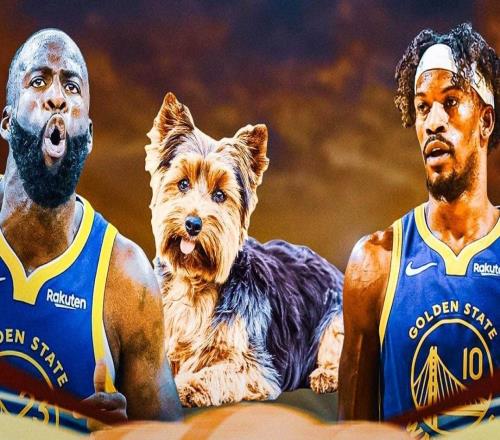 騎士隊德安德烈亨特徹底粉碎交易傳聞：“我為啥要被交易”