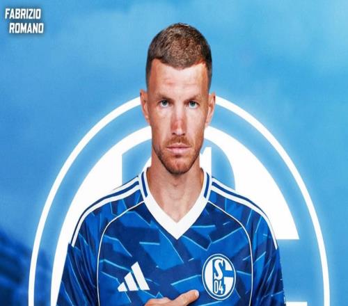 Herewego！罗马诺：沙尔克就签下39岁前锋哲科达成协议