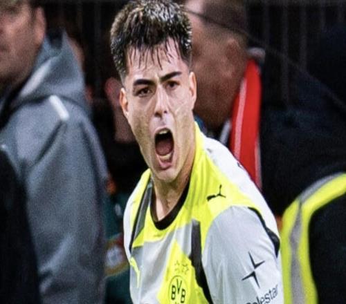 圖片報：多特不打算立刻引援，他們對切爾西的召回決定很憤怒