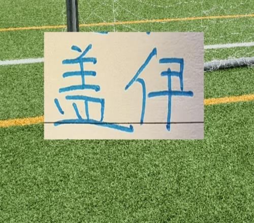 1米95的盖伊会像马莱莱一样面对中超后卫都是降维打击吗