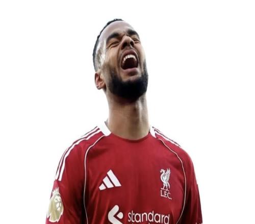 进攻参与度高但射门转化率下降，TA：加克波的进攻缺乏变化