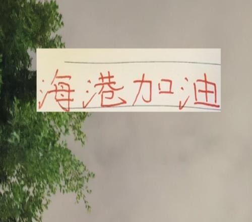 中超前5身價(jià)最高的外援海港是巴西雙子星申花是單子星