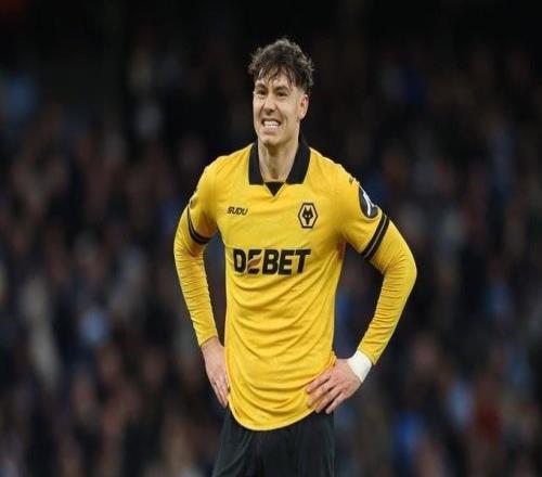 DO：水晶宮4300萬+500萬鎊浮動報價狼隊前鋒拉森