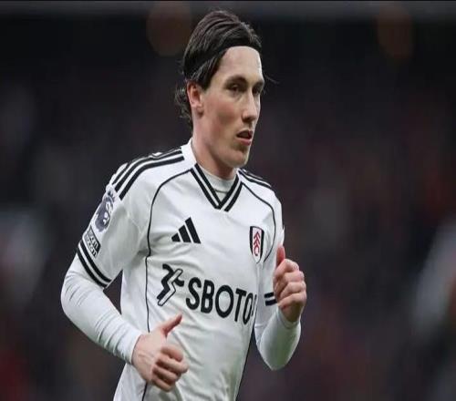 名記：富勒姆拒絕埃弗頓對(duì)哈里威爾遜的詢價(jià)，他們想留住他