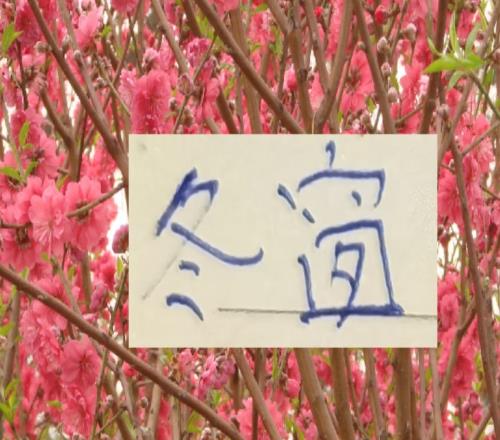 地主家也缺糧！去年中超前3海港+申花蓉城都出現(xiàn)中衛(wèi)難題