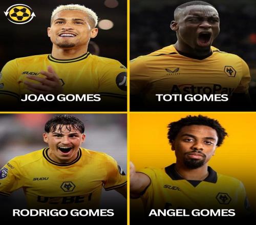 解說(shuō)員噩夢(mèng)，簽下安熱爾戈梅斯后狼隊(duì)已有4名叫Gomes的球員