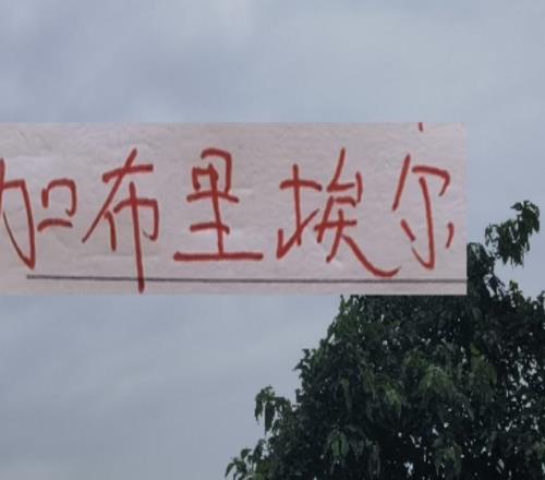 新賽季！海港申花北京國安的邊鋒都是又黑又快的外援