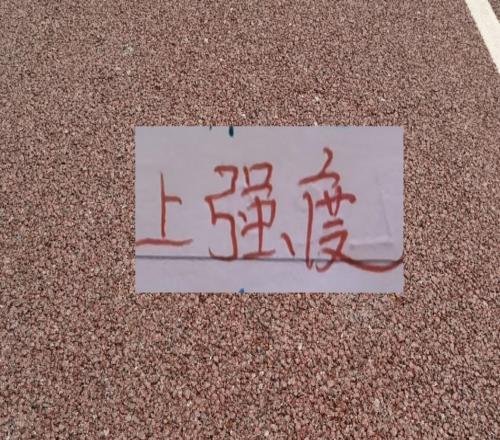 中超三隊(duì)打亞冠都有自己難處海港傷病多申花中衛(wèi)荒成都缺腰