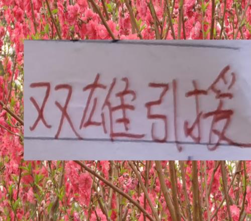 中超帶刀邊后衛(wèi)都集中在海港成都申花三球隊(duì)里面