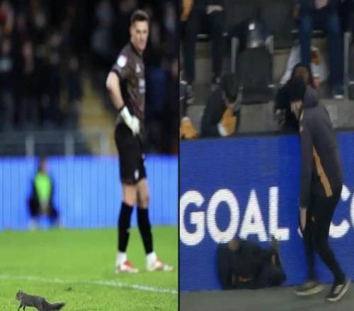 被選為最佳球員，赫爾城vs布里斯托爾的比賽被闖入的松鼠打斷