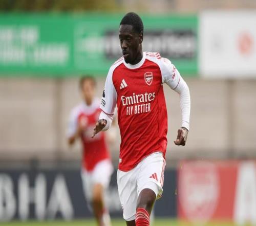 官方：阿森納21歲小將查爾斯薩戈租借加盟瑞典球隊(duì)卡爾馬