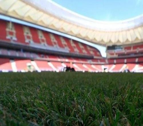 世體：由于馬德里連續(xù)10天下雨，馬競主場草皮會比較泥濘