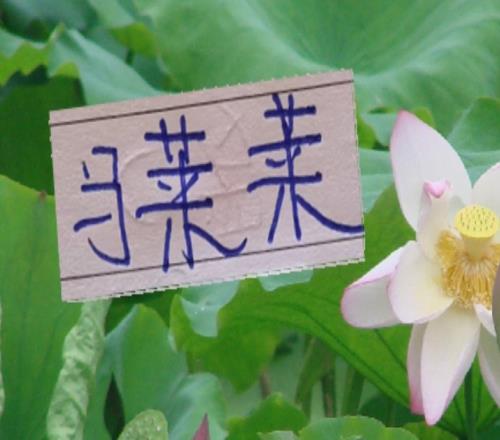 強度拉滿開局！申花首輪就要見馬萊萊3月轉(zhuǎn)正的難度可能性沒了