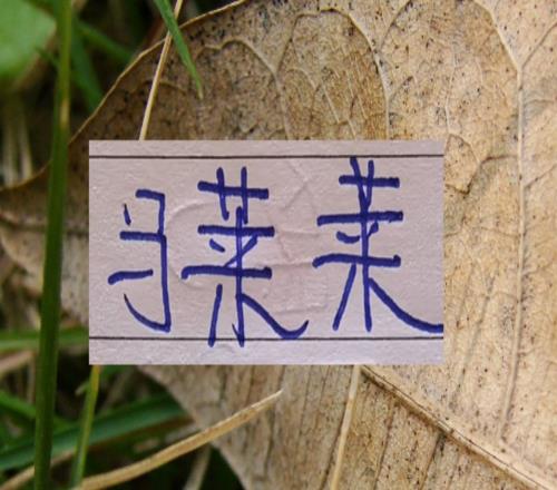 中超里面的“魔獸”申花有蓋伊大連英博有馬萊萊蓉城有棍鋒