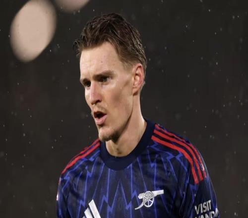 厄德高談傷勢：膝蓋非常疼，但目前傷勢不算太重