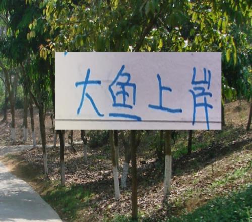 去年中超前5大魚都上岸北京國安是德甲大貨海港是本土標(biāo)王