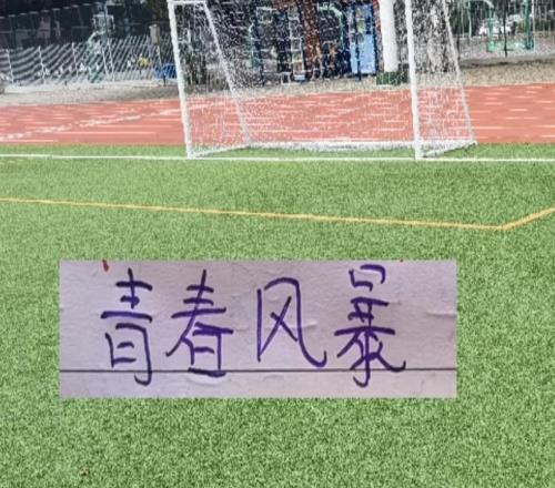 2026！中超平民球隊(duì)+豪門球隊(duì)海港繼續(xù)青春風(fēng)暴！