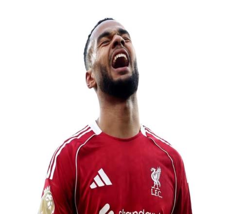 前曼聯(lián)助教：加克波在利物浦很開(kāi)心，但也有可能尋求新的挑戰(zhàn)