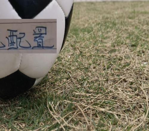 申花的人員配置在中超是夠用的就看3月能否扭轉局勢！