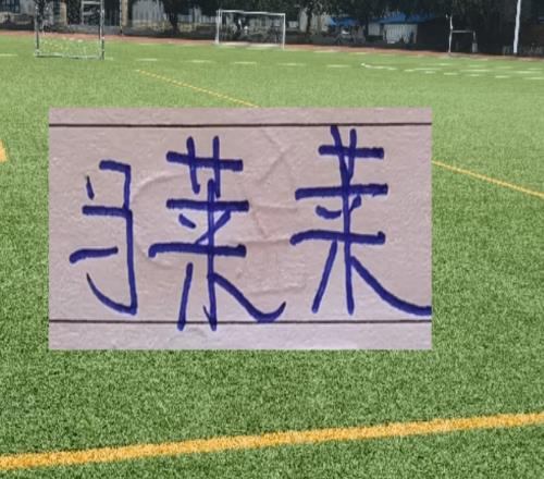 大連英博也是猛！早早開啟申花備戰(zhàn)！馬萊萊能現(xiàn)身八萬人體育場嗎