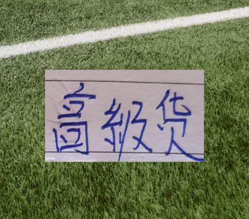 山東泰山成都北京國安本賽季都有強悍中衛就看誰是高級貨了！