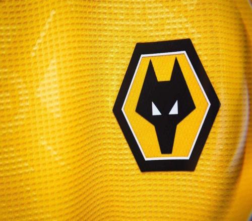 丟點后被種族歧視，狼隊官方發(fā)聲明支持阿羅科達雷