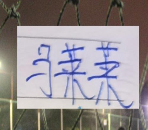 有馬萊萊大連或者其他中游球隊誰能代替被扣10分申花進前5！