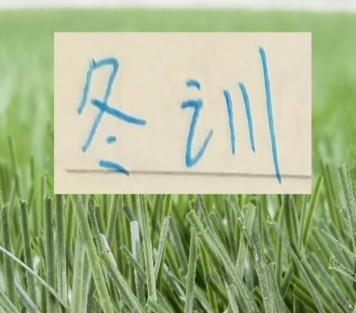 相比成都蓉城天堂開(kāi)局！北京國(guó)安跟申花的開(kāi)局需要更多硬氣