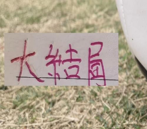 海港引援也基本大結(jié)局！新人里面誰才是真正大腿