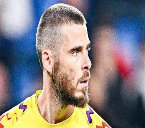 德赫亞致命失誤險(xiǎn)釀大禍，佛羅倫薩驚險(xiǎn)晉級歐協(xié)聯(lián)16強(qiáng)