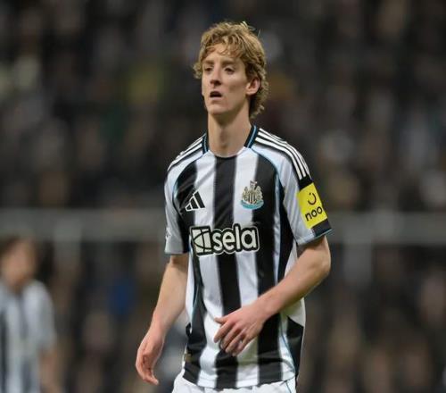 英超3大豪門盯上25歲戈登：歐冠10場轟10球紐卡要價近1億