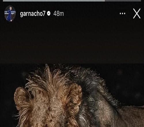 加納喬再惹爭(zhēng)議：賽前曬“嗜血雄獅”遭群嘲，切爾西或?qū)⑵淝逑? />
<div   id=