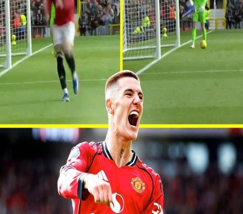 彈跳驚人，謝什科慶祝時跳得太高在鏡頭前出畫了