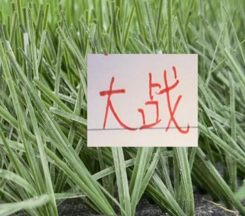 超級杯大戰(zhàn)！斯盧茨基也是刺探軍情！北京國安氣勢申花能守住嗎