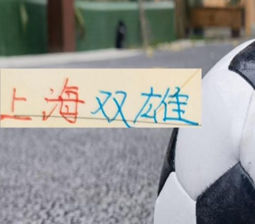 今年上海雙雄都是大手筆申花標(biāo)王拿下拉唐海港重金砸下大魚