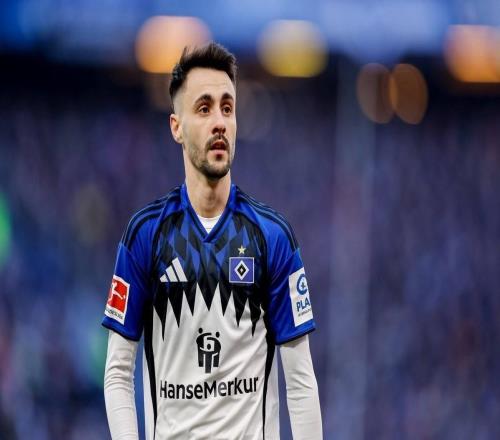 德天空：漢堡將嘗試從阿森納手中買斷法比奧維埃拉