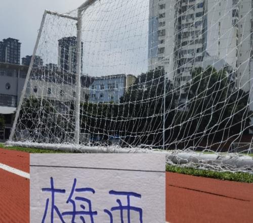 美國(guó)總統(tǒng)說(shuō)梅西比貝利厲害沙特聯(lián)賽不停球迷擔(dān)心海港舊將