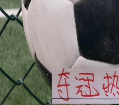 申花不扣分也是奪冠熱門今年奪冠球隊應是澳波系四大球隊